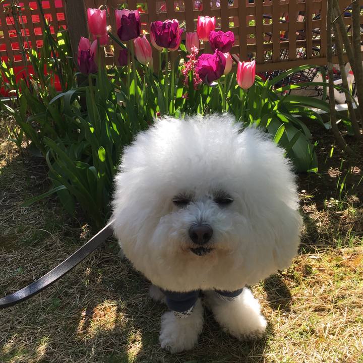 B5d270fe 53bf 47ff bf71 2d84fa5409fb 1587802311884