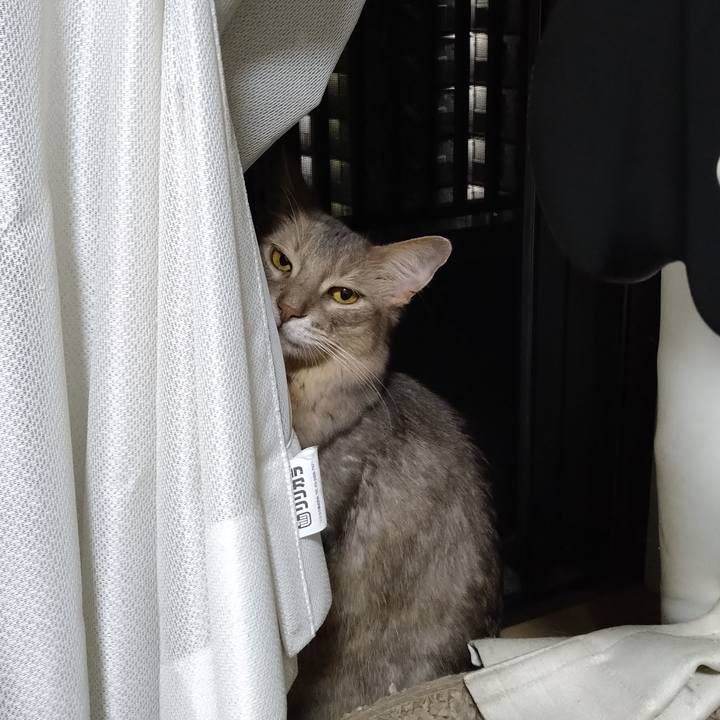 B5d27c0f f768 4276 b947 fd030562d328 1600246278361