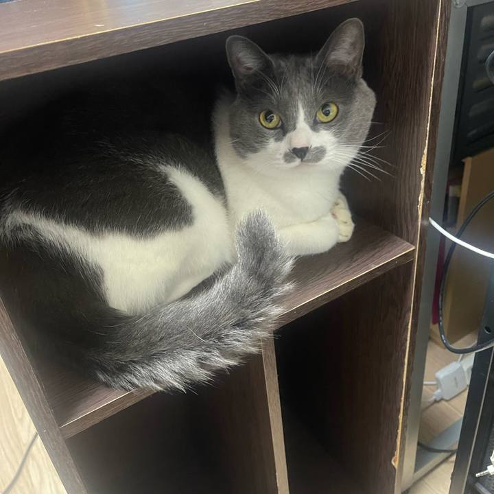 B5d28a85 e470 417d 861a 95fb7e4b2806 1702217625354