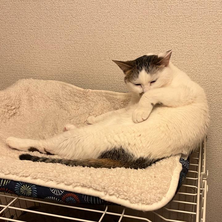 B5d28ed4 5248 421a a7e3 245ed5bb0d34 1675763208286