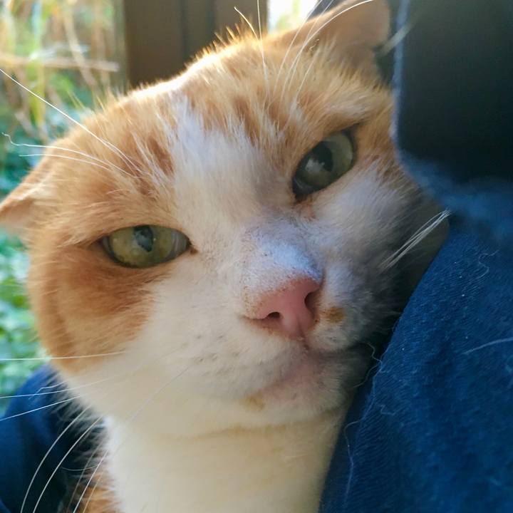 B5d28f27 e8a4 4ab0 916c 6f03a864ee4b 1606256694776