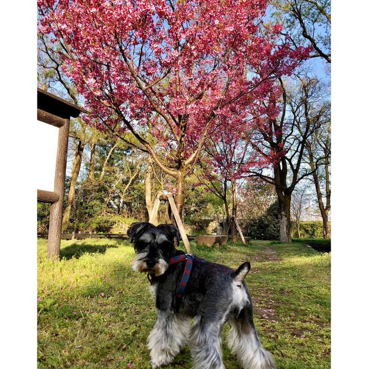 B5d2c203 e712 48e4 993e e92760d3323d 1649763052338