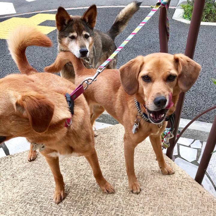 B5d2cbe4 8263 4747 86bd 9dc63d39ebcd 1529295547012