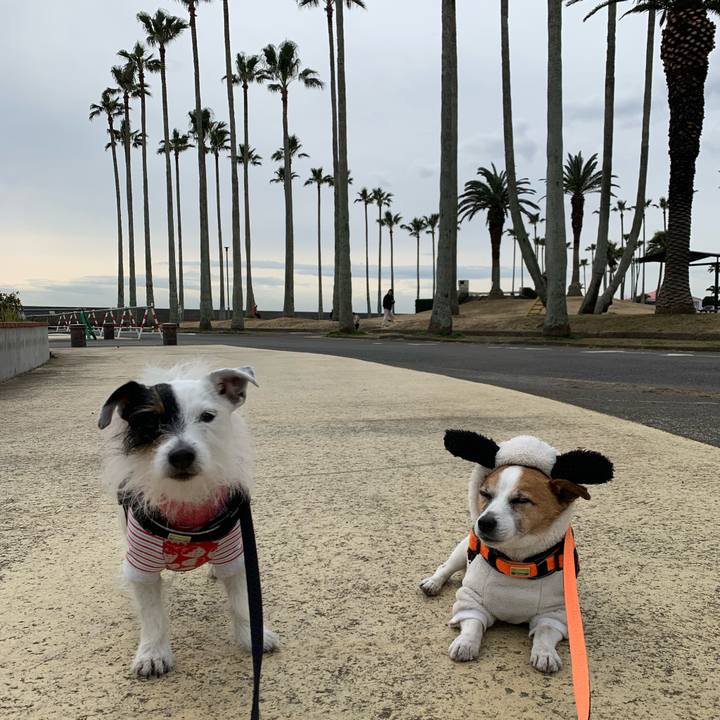 B5d2e18c 1972 4c50 ac05 4bb6b9ef5073 1645236677603