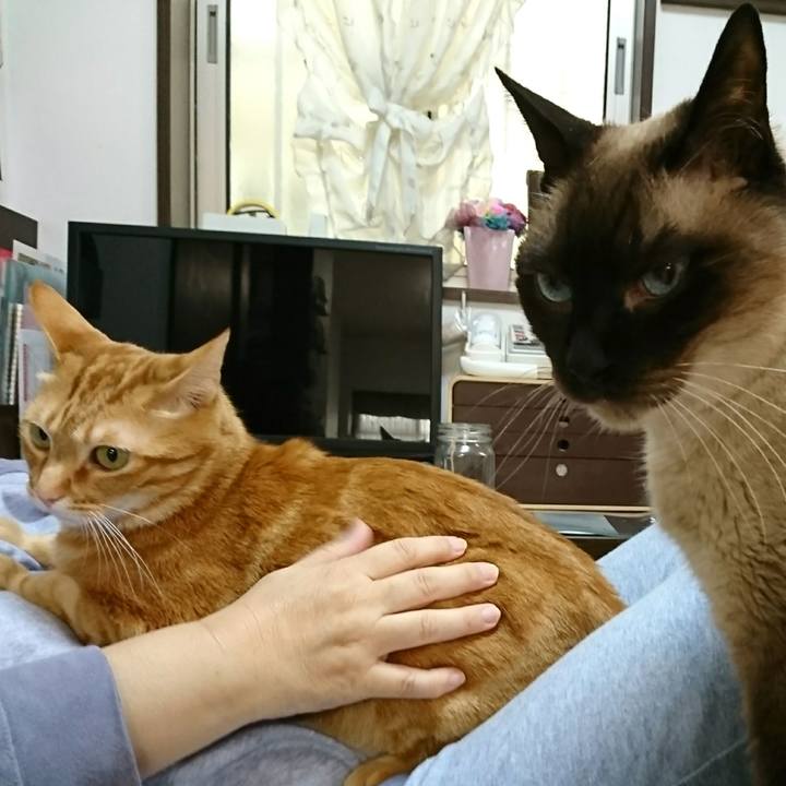 B5d2e4a7 997d 4166 b437 e73be27fff1e 1558478740054