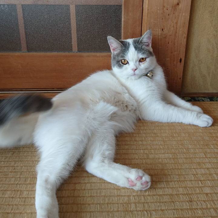 B5d34455 a7ad 4ac2 beae e22fbaeeaeb9 1547243162263