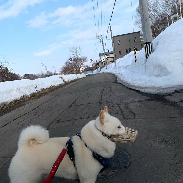 B5d34a3a 3095 4b62 95ad 6678ff864d1e 1648103235458