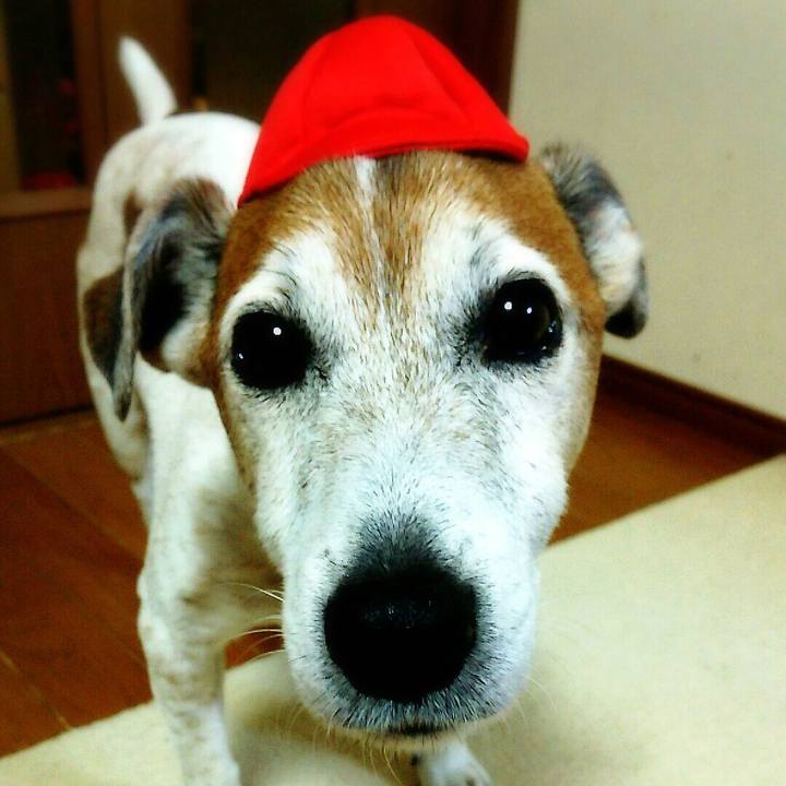 B5d38822 03f6 4ea1 b3c8 a21d092a66b7 1521293383617