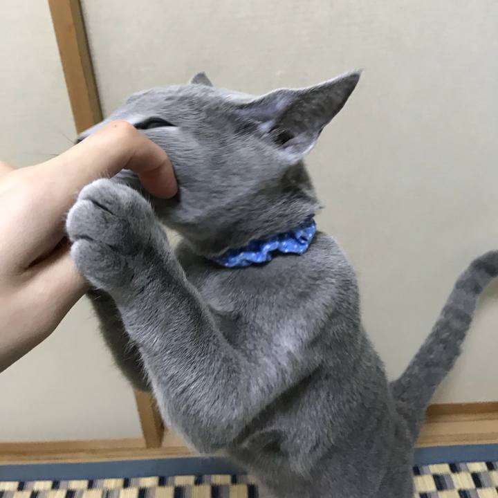 B5d3d302 0976 4479 b15d 7835c2da35cf 1509798390610