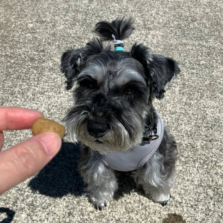 B5d3d4af 5f23 462b b0f9 88aca9f5b460 1715871463671