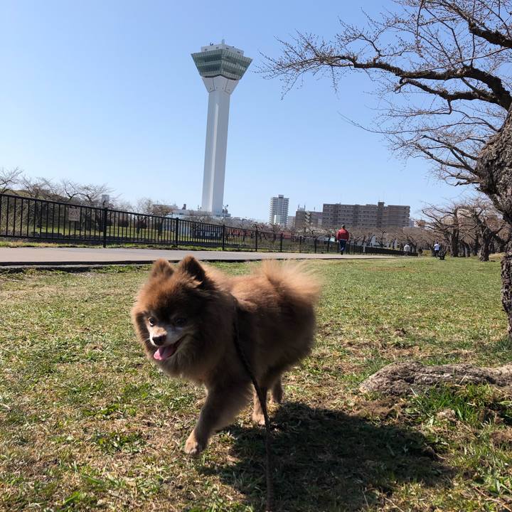 B5d4545f afb8 4685 ad83 b218ce8cc81a 1618202774605