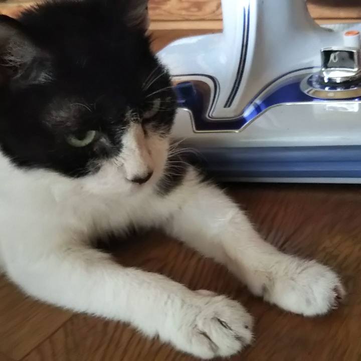 B5d46dc1 73f5 4b44 a955 6e70252d0903 1600857065074