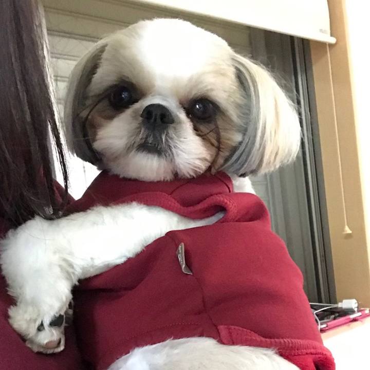 B5d49c96 fa69 4b67 9314 7c0c3b83a73b 1577320021232