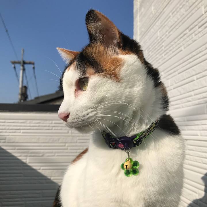 B5d4cc2f b403 48b1 9469 25e8f08ffe42 1511744992921