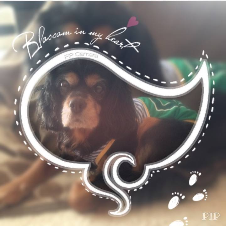 B5d52307 34eb 4d89 b787 67918471c22a 1524878734104