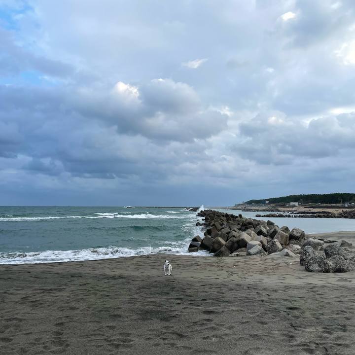 B5d5411e 3fd5 4e37 9c9f a6e6da89b39e 1669078664840