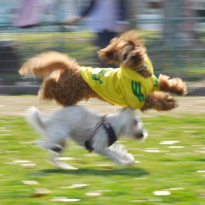 B5d548d4 4640 4407 9689 8961883d7c98 1522061868390