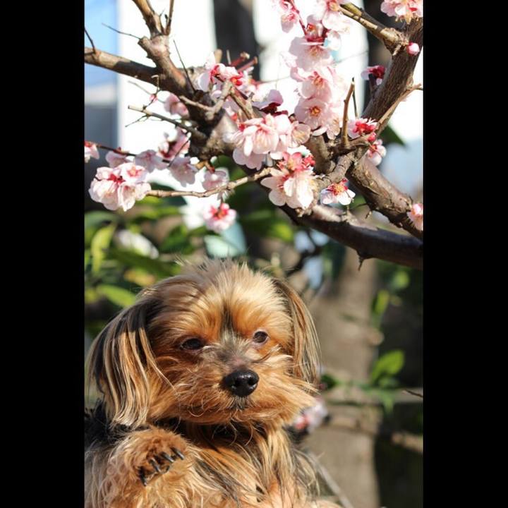 B5d55629 6565 420c 9bf6 dc7e97e598d7 1520729029068