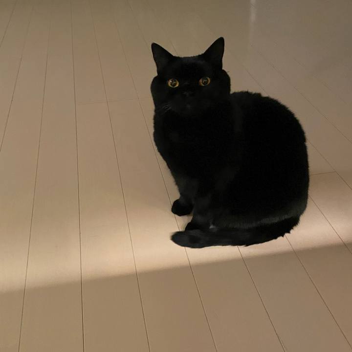 B5d56e2c ad82 4b5d 99ae 5d968b6999db 1672839529827