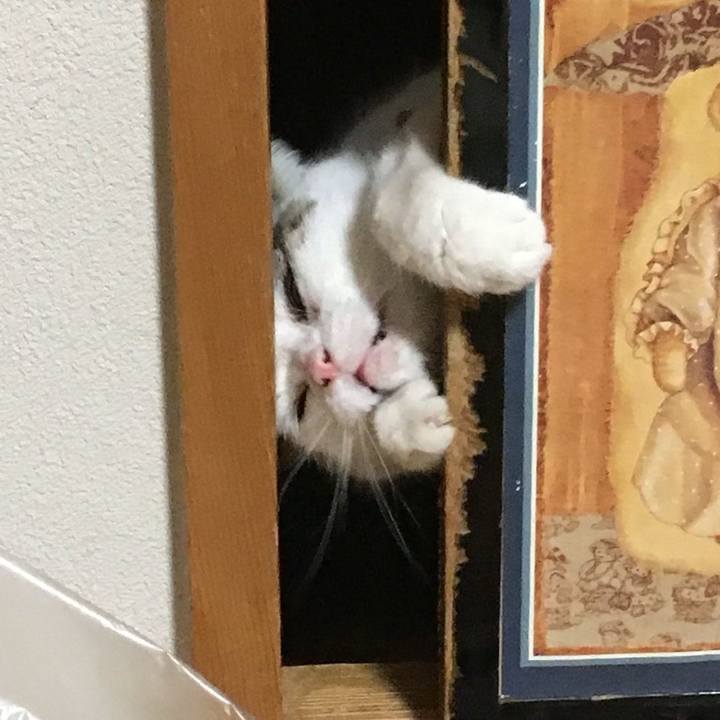 B5d5c805 d861 4cf7 99e9 edfa01dad2a4 1519681703837