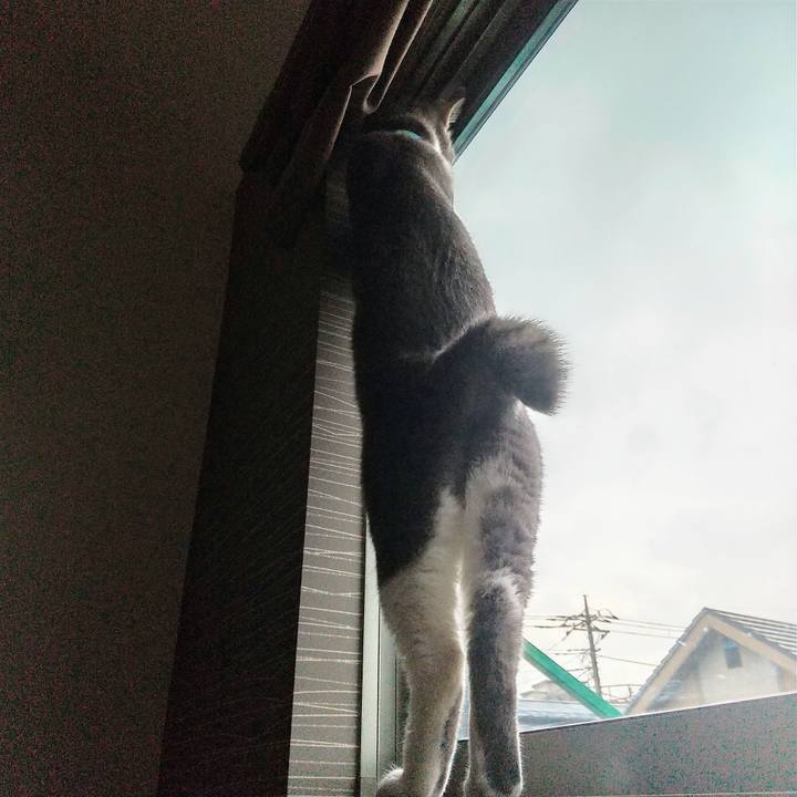 B5d5cf4c f192 4403 aad5 df854a465217 1623618374846