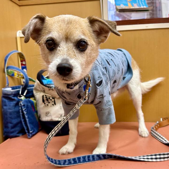 B5d63349 60f2 49a1 8df9 ce366c347237 1681539303595