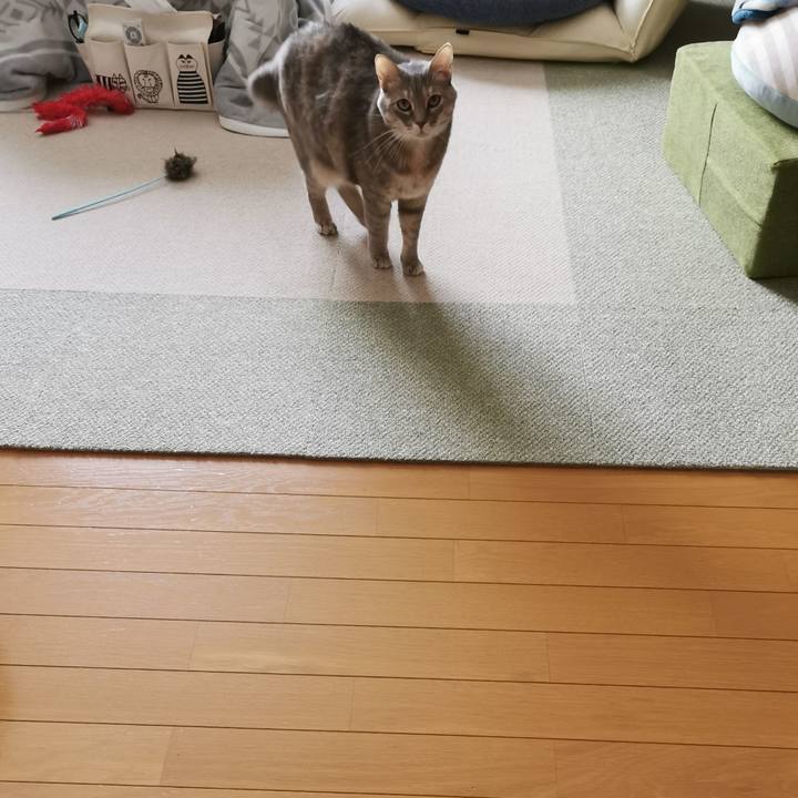 B5d634ac c12a 4fe6 8798 f963c5153844 1645454423755