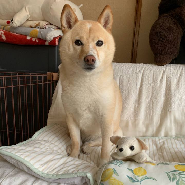 B5d65413 a452 4d1a aa04 28071b870645 1624534466693