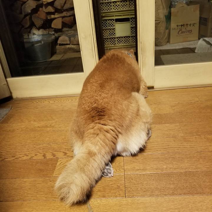 B5d68157 ad33 49c0 b296 700a3e87e091 1705394121530