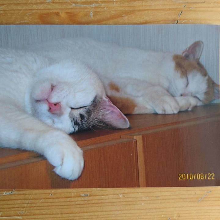 B5d6a34d 7749 4ec1 9358 83081d91f97a 1514696209310