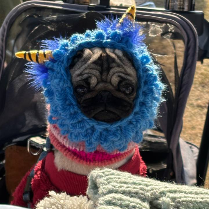 B5d6b6a8 5df6 443c 9640 f8b6ac501d72 1769936014847