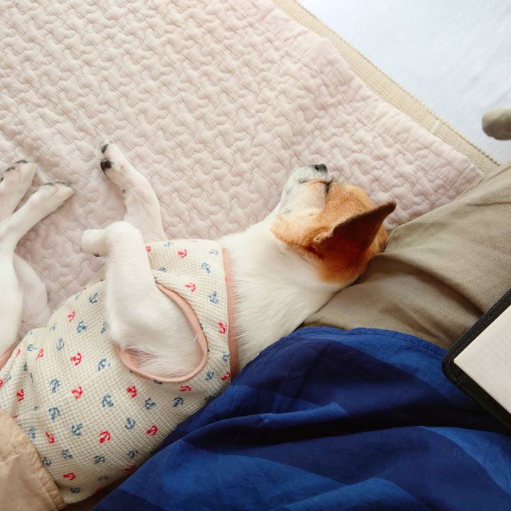 B5d7011e 418d 4206 a109 c8736b62e393 1658985879559