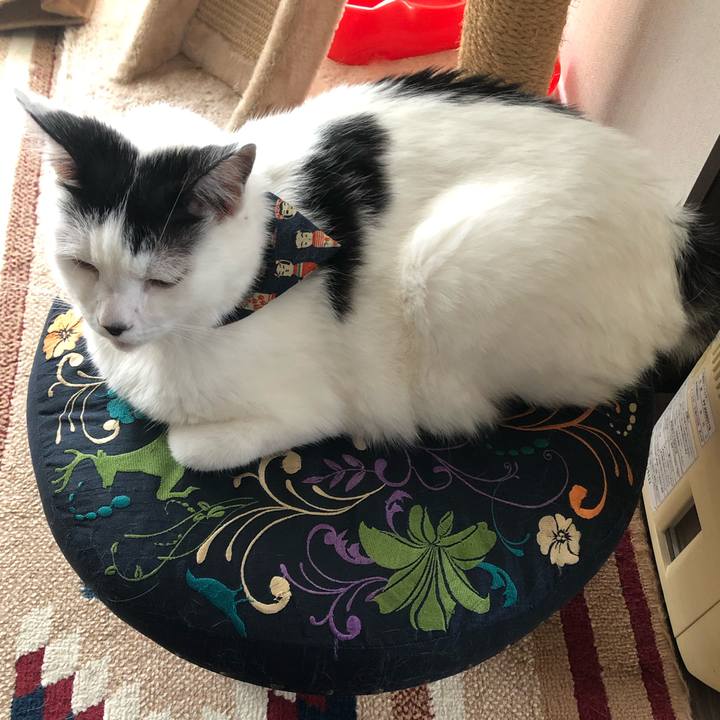 B5d70ce4 2add 49bc a13c b671754e3b58 1571551838032