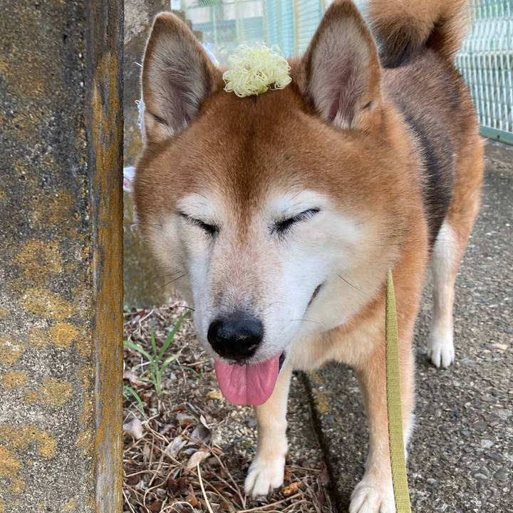 B5d70e55 4c80 45d5 b0c3 0da8c62bd65f 1693645147931