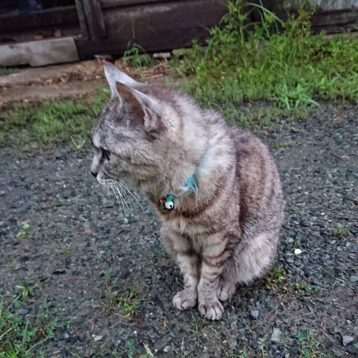 B5d712e3 09e4 41ae b4ca 3bf93cc4f7c6 1566984828457