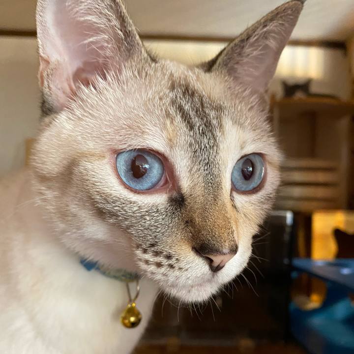 B5d757ee 96f2 4421 8dd4 35a26f4732d6 1692245637319