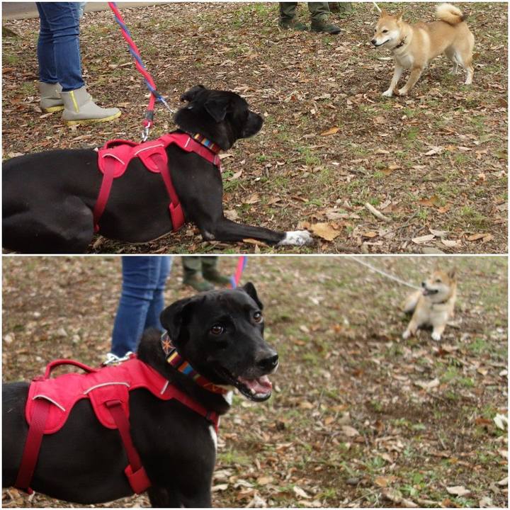 B5d7582c 3d2b 4ae9 8c54 86c77c602f0c 1604794641668