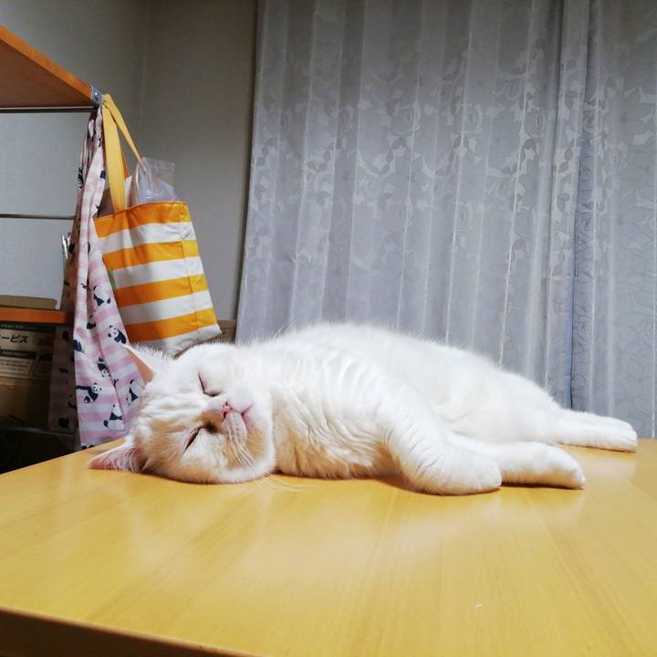 B5d76a87 03e3 4483 992c fba5dba6b895 1627594326362