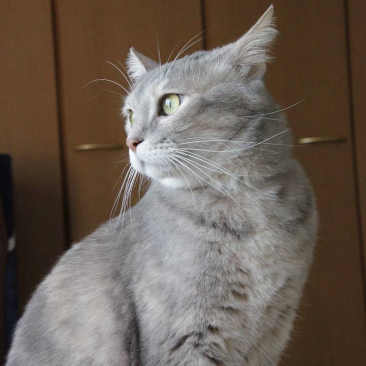 B5d76ee1 6208 49e3 a60a 1f8682f71dfe 1585986860429