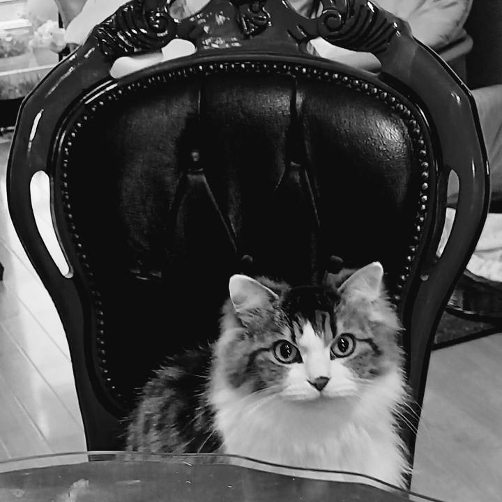 B5d7917b 531b 4d46 af95 ecf11f1e2597 1674767584082