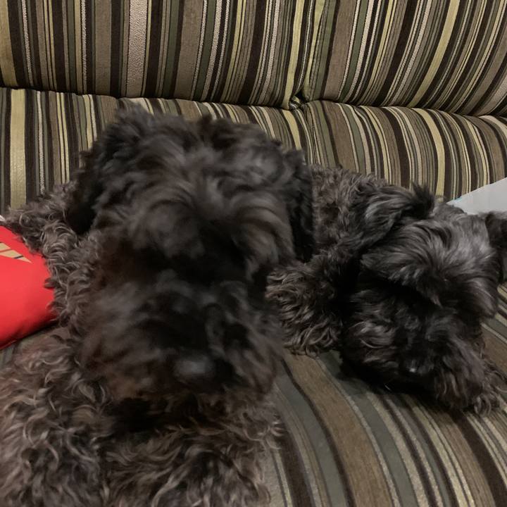 B5d7a8bb d897 4068 9310 964f15e645b6 1590842432546