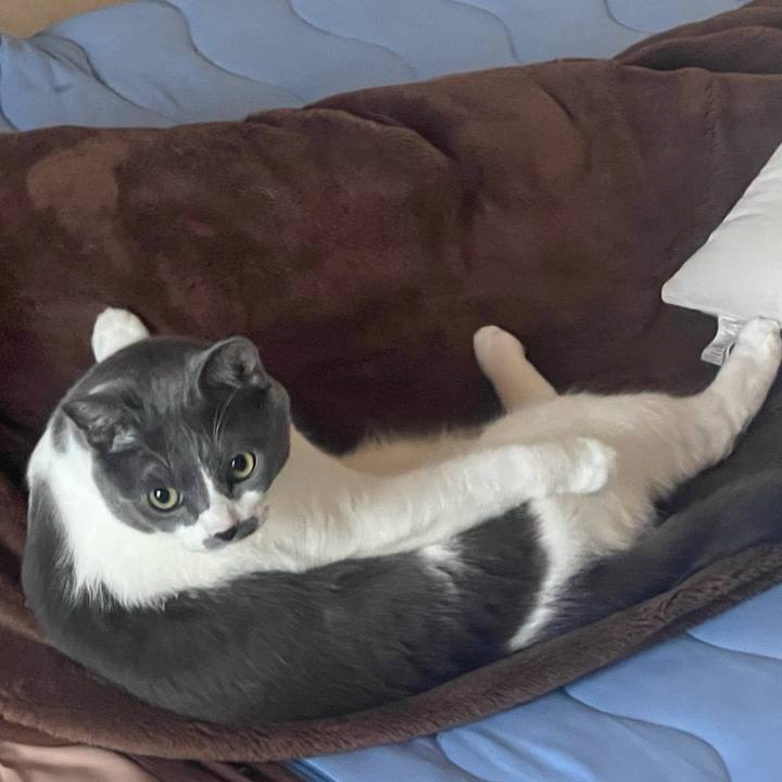 B5d7c3b0 21a6 42cb 8c8f cc0372247037 1626727723269