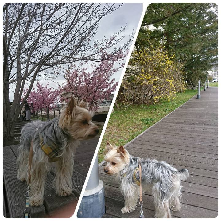 B5d7e4d3 81b7 4d7d b4f3 84e195af1f46 1521361245674