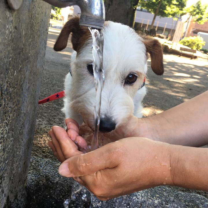 B5d7f2ee a61d 40ae afcc dbd06d6ee408 1593642247449