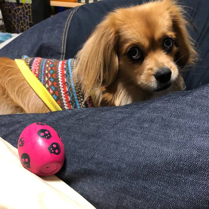 B5d7f9f3 c07a 4244 a8ad d4acb834db51 1550700724834