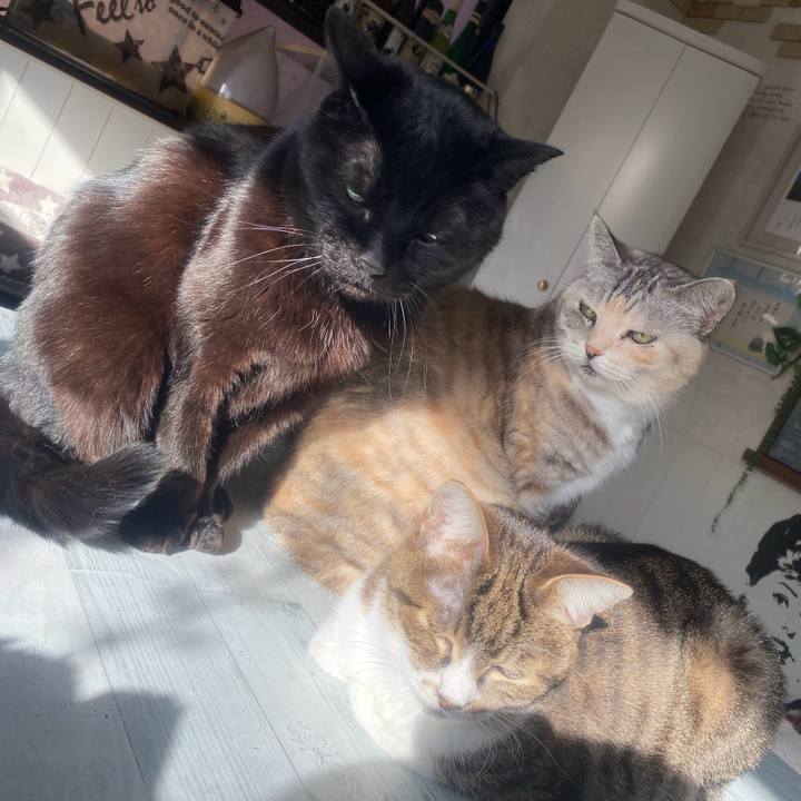 B5d83865 f10c 48ea bfcc 3ab4a734f91c 1735738998990