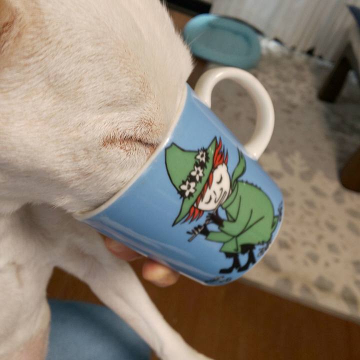 B5d83902 2f65 4525 8f67 33d234a6567d 1541291070477