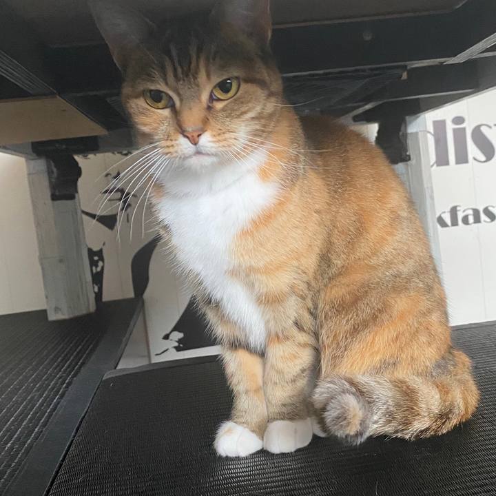 B5d848bf a13a 4ed7 a017 4d967fa5b04c 1587356809875