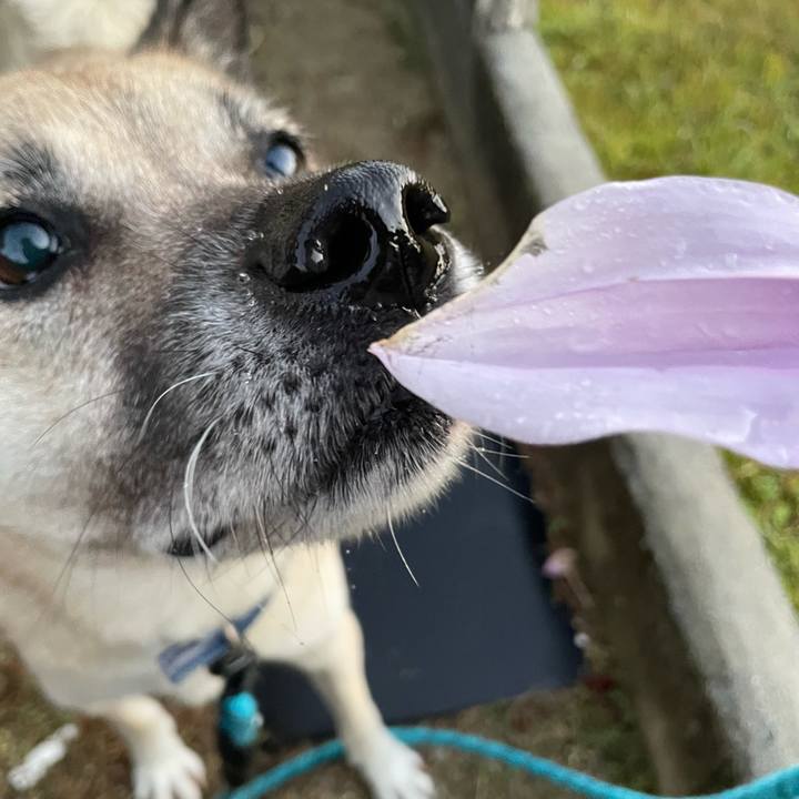 B5d86207 cda2 41d8 b405 44dc7dc04661 1701172852689