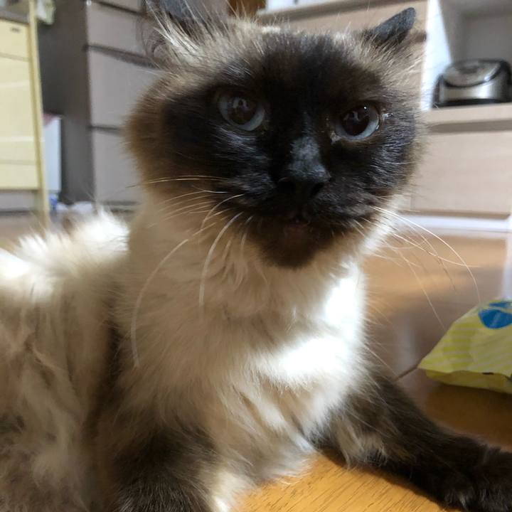 B5d86efd 9d9b 4cdf 9e27 beb99330406a 1622725915728